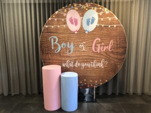 Gender Reveal - Boy or Girl DIY Backdrop